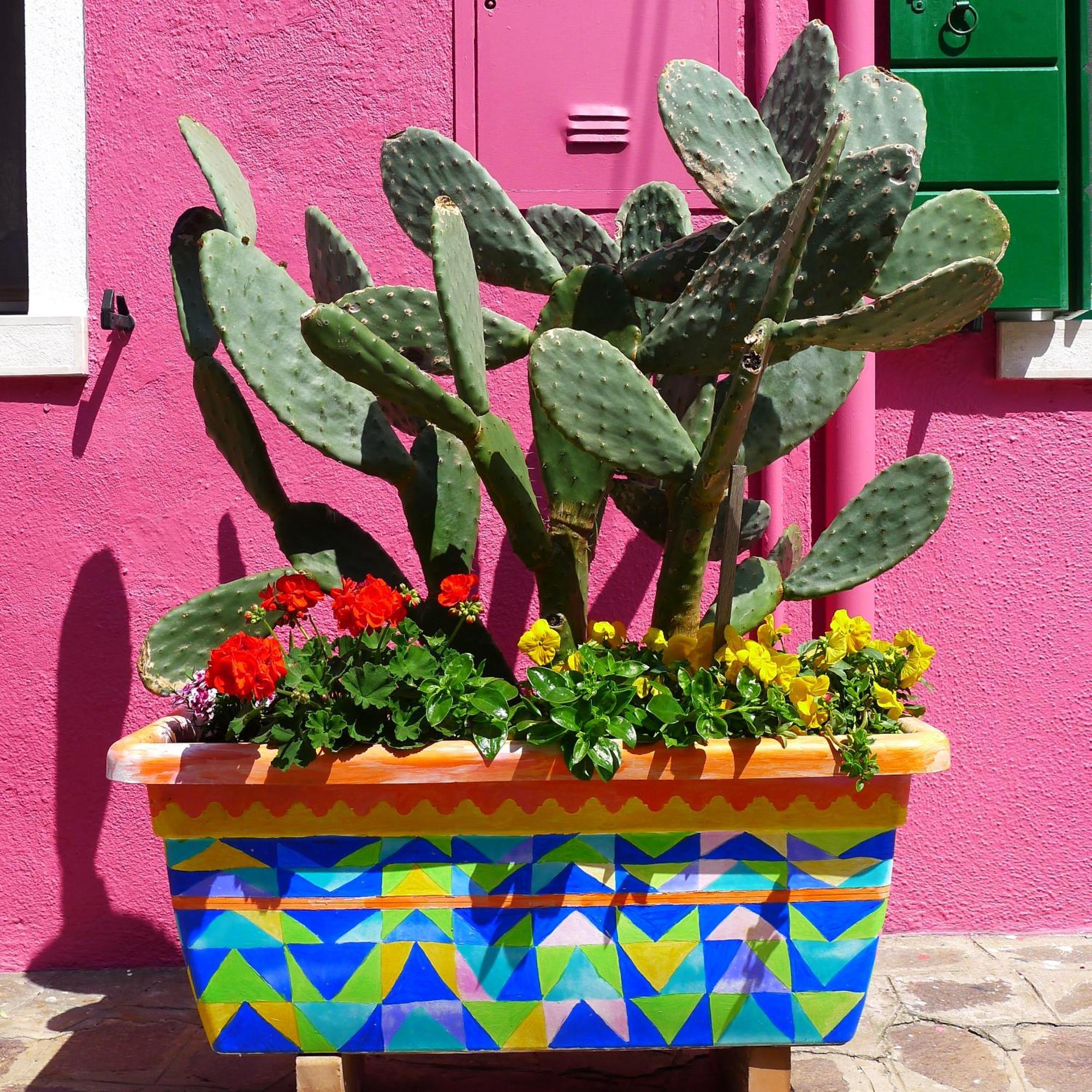 Night Galleria Holiday Home - Bed & Art In Burano - The Pink House Extérieur photo